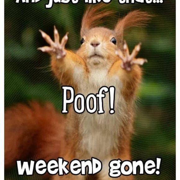 LIKE THIS FLYER to receive SHARE SHOW Notifications! Next Show: November 2025 - Picture 8 of 12